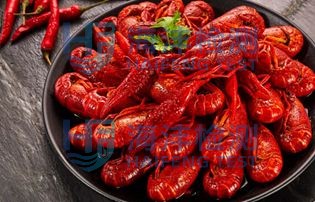 小龙虾检测套餐