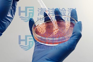 化妆品微生物测试