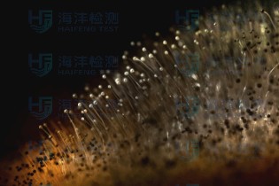 未知物成分分析