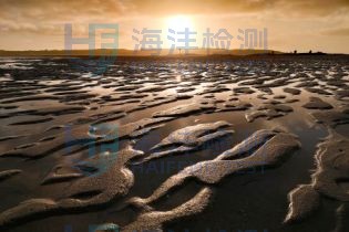 沉积物检测