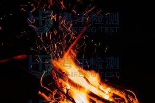 次小薪柴检测