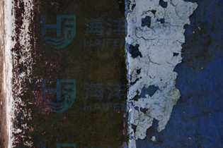 环氧树脂涂料检测