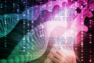 蛋白质检测