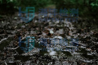 粪便检测