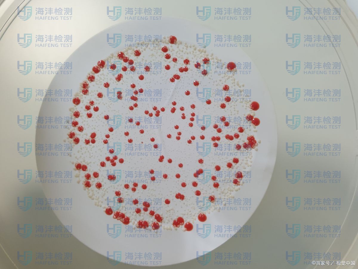 低倍组织检验